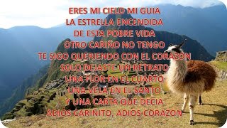 los kipus  mi cariñito letra [upl. by Ot466]