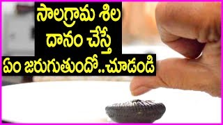 Importance Of Salagrama Danam In Karthika Masam  Telugu Devotional Videos [upl. by Fabrienne595]