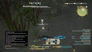 Final Fantasy XIV  Fisher L68 Quest  Catching Dafangshi HQ [upl. by Armillia]