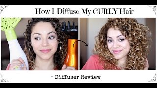 How I Diffuse  Diffuser Review  CurlyWavy Hair [upl. by Terle]