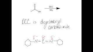 Amide formation from acid and DCC problem 2 [upl. by Ohaus197]