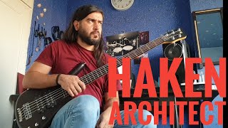 haken  architect bass cover [upl. by Edwine]