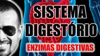 Sistema Digestório  Enzimas digestivas e processos químicos da digestão  Anatomia  VideoAula 026 [upl. by Eceerehs]