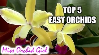 Top 5 orchids for beginners [upl. by Htidirem]