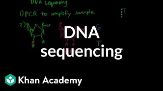 DNA sequencing  Biomolecules  MCAT  Khan Academy [upl. by Bohannon]