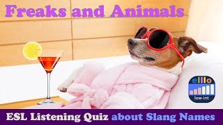 Freaks and Animals  ESL LIstening Quiz  Intermediate [upl. by Floridia]