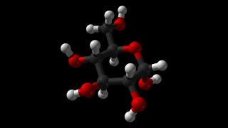 Biochimica 3 Glicolisi [upl. by Reid]