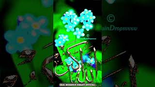 Quran recitation qeerat allah shorts quran quranrecitation gift qirat tilawat youtubeshorts [upl. by Inna210]