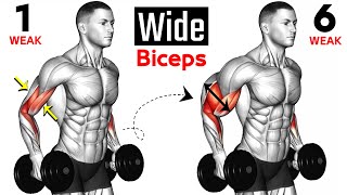 7 BEST Exercises for WIDER BICEPS [upl. by Eeram]