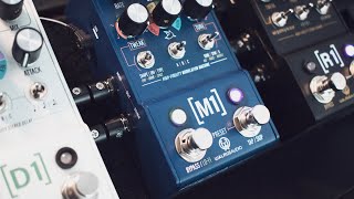 M1 Walrus Audio Bass  Bass Synth Pedal Sketch w Knob Settings  w D1 amp R1 [upl. by Rayham]