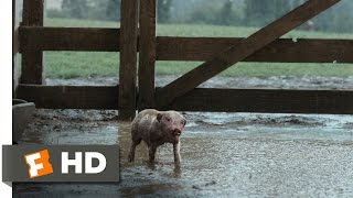 Charlottes Web 210 Movie CLIP  Wilbur Plays in the Mud 2006 HD [upl. by Aikahc38]