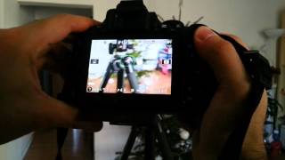 Nikon D5500 live view autofocus test [upl. by Tawnya]