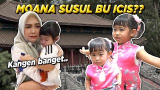 DETIKDETIK MOANA NYUSUL BU ICIS Ke China [upl. by Nemraciram]