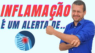 INFLAMAÇÃO A CAUSA DAS DOENÇAS MODERNAS ANTIINFLAMATÓRIOS NATURAIS [upl. by Maxie]