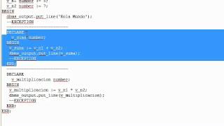 PLSQL Bloques anonimos y declarados Named vs Anonymous Blocks [upl. by Siloum576]