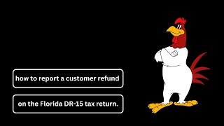 How to report a customer refund on the Florida DR15 Sales and Use Tax Return taxes salestax [upl. by Wina]