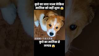 कुत्ते ने नया जन्म लिया लेकिन मालिक को नहीं भुला पाया 😱  short dog movie cartoon [upl. by Nirrep433]