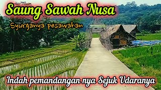 Saung Sawah Nusa yang Indah di DS Selacai  Ciamis  Udaranya Sangat Sejuk Bikin Betah [upl. by Romaine456]