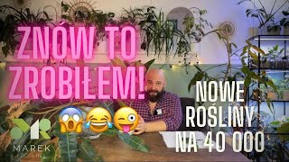 MEDINILLA 💀 ZNÓW JĄ KUPIŁEM choć nie powinienem😂😅😜 Nowe rośliny na 40 000 subów [upl. by Attlee]