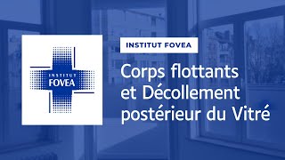 Corps flottants et Décollement postérieur du Vitré [upl. by Atazroglam108]