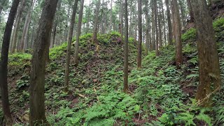 【4K】Iono Castle Tochigi  伊王野城 栃木 [upl. by Kerk]