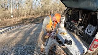 Louisiana Woodcock Hunting December 2022 [upl. by Snyder]