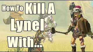 I Prefer to Parry How to Kill A Lynel in Zelda Breath of The Wild [upl. by Notseh]