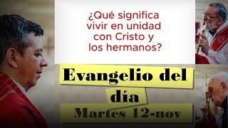 Evangelio del día martes 12 de noviembre del 2024 Homilía y oración Católico [upl. by Schilling]