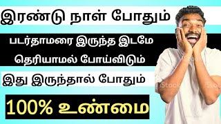 Padarthamarai TREATMENT in TAMIL  Padarthamarai Marundhu in TAMIL  RINGWORM [upl. by Juliann]