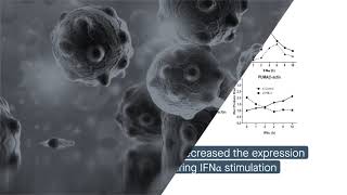 PMLII regulates ERK and AKT signal activation and IFNαinduced cell death [upl. by Cyn]