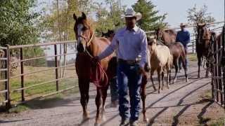 Montana Horse Ranch  Americas Heartland [upl. by Notsreik]