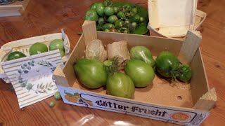 8 DIY DIE grünen TOMATEN einfach NACHReifen lassen [upl. by Xila]