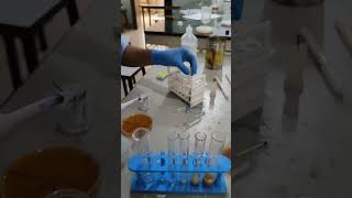 Serial dilution of microbes  shorts shortsvideo laboratorylife viralvideo shortsfeed [upl. by Concettina]