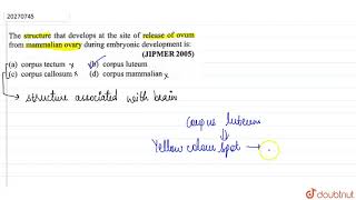 The structure that developes at the site of release of ovum from mammalian ovary [upl. by Wales]