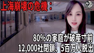 上海崩壊の危機：12000社閉鎖、5百万人脱出、80％の家庭が破産寸前！ 中国を読み解 [upl. by Prud750]