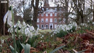 Snowdrops at Welford Park Home of The Great British Bake Off [upl. by Akeemaj65]