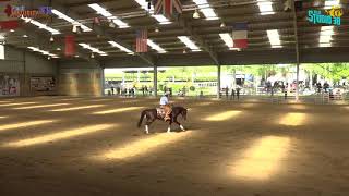 Nicmeridalittlestep et Gregory Legrand French Maturity Open reserve Champion level 2  Score 1445 [upl. by Hurty]