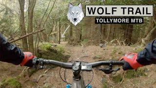 Tollymore MTB Wolf Trail [upl. by Euqnom]