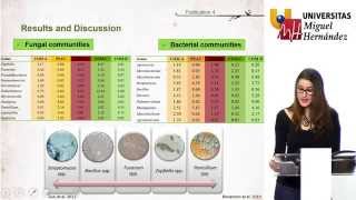 MOLECULAR DIAGNOSIS AND BIOLOGICAL CONTROL OF PHYTOPHTHORA ROOT ROT IN PEPPER AND FUSARIUM [upl. by Aracal356]