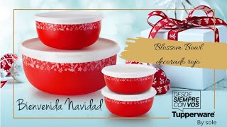 BLOSSOM BOWL Decorado Rojo Tupperware [upl. by Gignac]