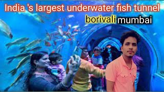 underwater fish tunnel  Borivali Mumbai under water fish tunnel mdtaleemvlogs655 [upl. by Nalda]