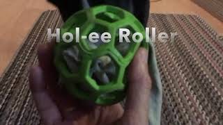 Holee Roller Puzzle for Senior Dogs A great Enrichment Game Mind Game [upl. by Elletnahs]