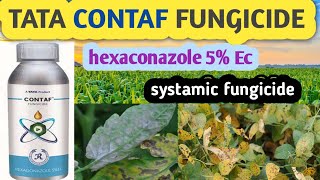 TATA CONTAF FUNGICIDE  TATA CONTAF  HEXACONAZOLE 5EC [upl. by Mallin]