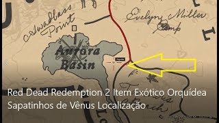 Red Dead Redemption 2 Item Exótico Orquídea Sapatinhos de Vênus Localização [upl. by Yssej806]