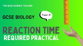 GCSE Biology Reaction time  Required Practical AQA OCR Edexcel [upl. by Atikram]