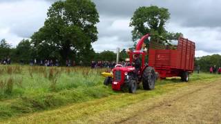 Massey ferguson 35 6 cylinder [upl. by Nele450]