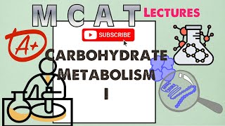 Biochemistry MCAT Chapter 8 Carbohydrate Metabolism I 12 [upl. by Austreng880]