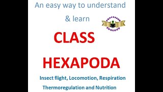 Class hexapoda [upl. by Samau]