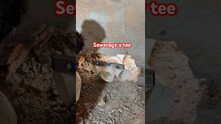 Sewerage y Tee fixingplumber tips plumbing shorts [upl. by Morrissey]