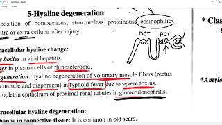 GENERAL PATHOLOGY 4  mucin hyaline fibrinoid book reading DR SAMEH GHAZY [upl. by Diandra634]